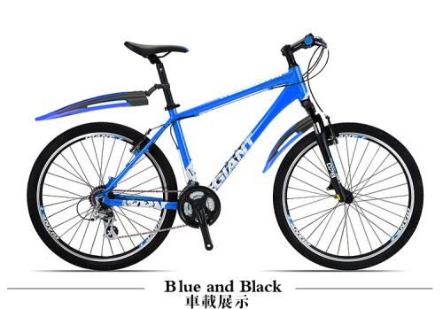 山地車配件與運動內衣 專業批發市場的雙軌商機